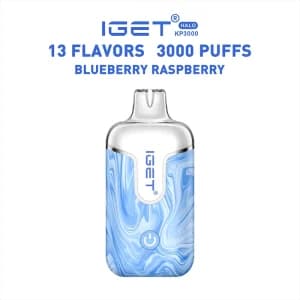 Blueberry Raspberry – IGET Halo Vape Kit 3000 Puffs